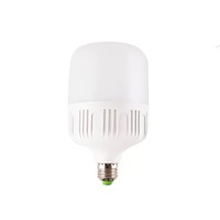 Ampoule LED AC 220V 2835 5W 10W 15W 20W 30W 40W 50W Lampe à économie d'énergie revêtue de plastique Haute luminosité Blanc froid 6000K