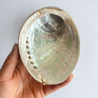 Kit de bavage de coquille d'ormeau blanc australien Sauge blanche Palo Santo Conteneur de combustion d'encens Souvenir décoratif pour la maison aromatique