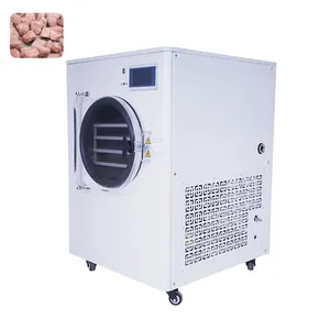 Vacuum freeze drying equipment for pet food 20kg freeze dryer freeze dryer for liquids