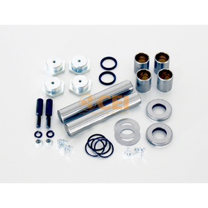 Kit di Riparazione, Perno del Fuso a Snodo Adatto per NISSAN 230.123 Perno del Fuso a Snodo - Product Image 1