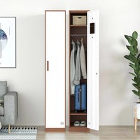 Casier de rangement en acier, armoire métallique durable avec serrure, design contemporain, grande capacité, meubles de chambre à coucher