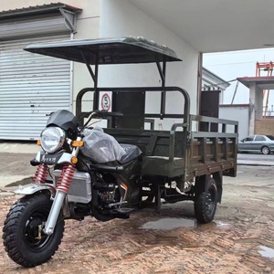 Tricycle utilitaire à essence à carrosserie ouverte de haute qualité – Vente en gros de tricycles motorisés avec option de vente à prix réduit, directement de Chine - Product Image 4