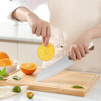 Ensemble de 6 couteaux de cuisine professionnels en acier inoxydable 40Cr14, comprenant un couteau Santoku, un couteau à découper la viande, un couteau utilitaire et un couteau à éplucher, avec manche en ABS.