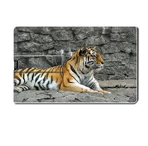 Hohe Geschwindigkeit Kreditkarte Usb 2.0/3,0-Stick Groß, OEM Custom Usb Stick 8 gb, 16 GB Usb-Stick Thumb Drive Geschenk - Product Image 3