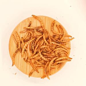 Emballage personnalisé 100g 200g 500g Vers de farine séchés sans additifs, riches en protéines - Product Image 2