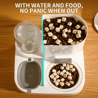 Nouveau distributeur d'eau automatique pour animaux de compagnie distributeur d'eau 2 en 1 bol pour chat et chien fournitures pour animaux de compagnie