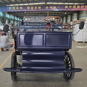 Modern <b>Double</b>-row Luxury Horse-drawn Carriage for Christmas Party Romantic Sightseeing & Special Transportation - Product Image 6