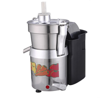 220V/110V Rvs Groente En Fruit Juicers Voor Thuis/Elektrische Citruspers Rvs