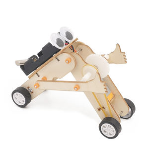 STEM Tweewielige Balansfiets Robot DIY Wetenschapssets Kinderen Studenten Leuk Houten Bouwpakket Natuurkunde Bouwset - Product Image 3
