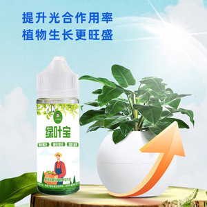 Fertilizante Líquido Vegetal Eight Old Men's Green Leaf Treasure 50ml para Floración y Prevención de Hojas Amarillas - Product Image 4