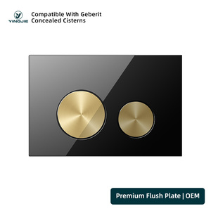 Toilet <strong>Flush</strong> Plate Press Button Control Panel Water Saving Dual <strong>Flush</strong> Push Plate for <strong>Geberit</strong> Concealed Cistern Toilet - Product Image 4