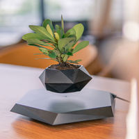 Venta caliente aire bonsái levitante magnético maceta flotante maceta regalos creativos para la decoración del hogar