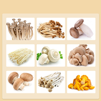 Kit de cultivo de semillas de hongos frescos