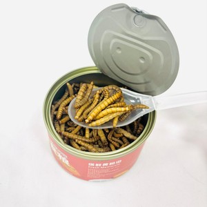 Vers de farine frais en conserve, riches en protéines, nourriture prête à l'emploi pour poissons d'aquarium, vente en gros pour reptiles et oiseaux, aliment naturel riche en protéines - Product Image 1