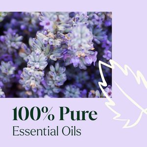 Aceite Esencial de Flor de Jazmín 100% Puro Prensado en Frío para Todo Tipo de Piel 10ml - Product Image 3