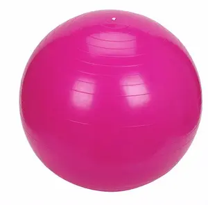 पीवीसी जिम गेंद/55/65/75cm विरोधी फट गेंद योग गेंद