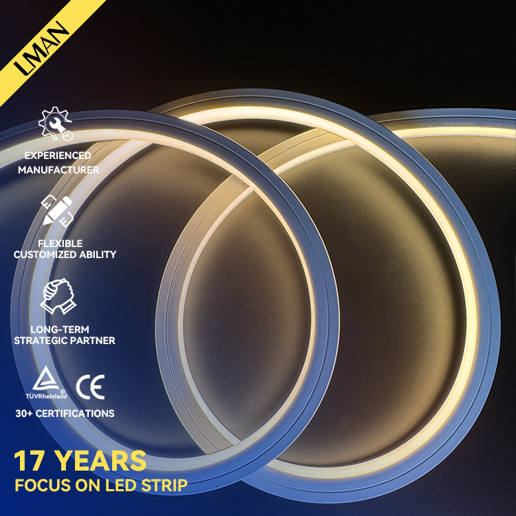 Commercial Grade Neon Flex LED Tube Custom Length IP65 Waterproof Silicone Outdoor Landscape Lighting for Business
