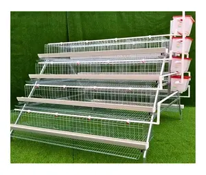 2024 Hot Selling High Quality Poultry Farm A Type Chicken Cages Layer Cages