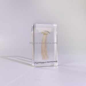 Spécimen en résine, artisanat en résine, mini ornements de <span class=keywords><strong>champignons</strong></span> réels, spécimen de cristal naturel original pour cadeau d'enfant - Product Image 4