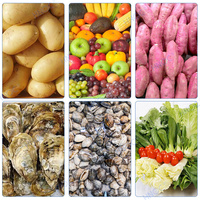 Meilleure vente laveuse commerciale d'oignons, manioc, gingembre équipement de lavage de fruits et légumes machine à laver et à éplucher les carottes et les pommes de terre