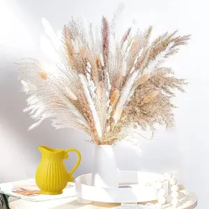 Hot selling decoration small dyeing dried flowers pampas grass natural dried flower wholesale wedding ornaments