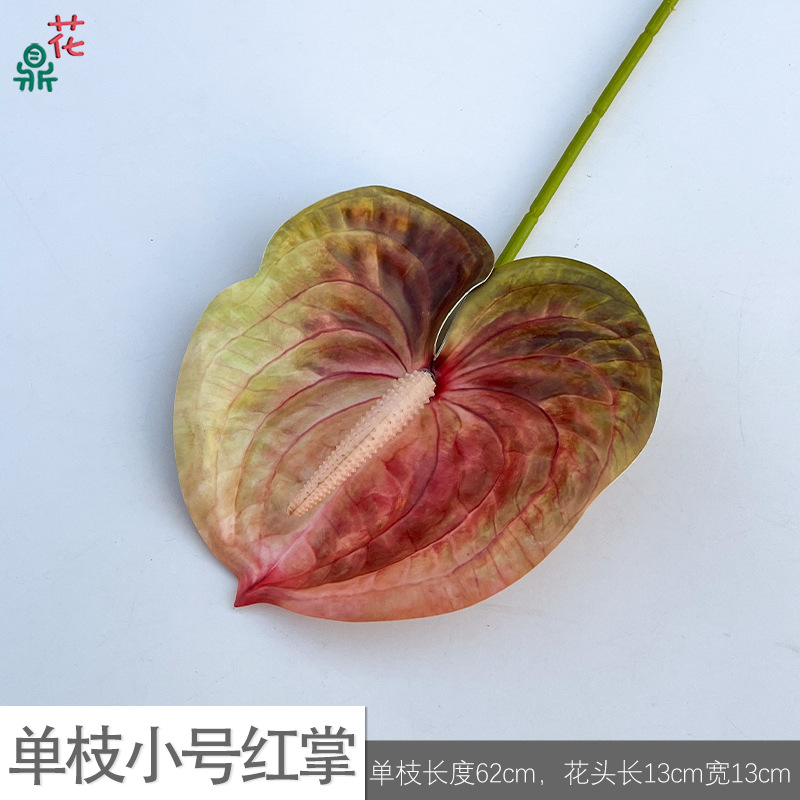 Single small red palm zl orange red