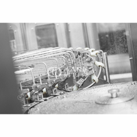 Machine de remplissage et de scellage automatique, pour l'eau minérale en plastique, ligne de Production d'eau minérale, excellent pour les animaux domestiques