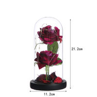 Cadeau de Saint-Valentin Deux Fleurs Éternelles Conservées sous Cloche en Verre avec Lumières LED Rose Éternelle Ornements Cadeau Fête des Mères Décoration Maison
