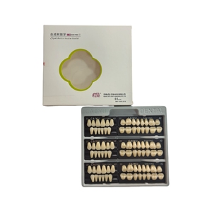 Caiyu Handmatige Stroombron Tand Valse Tanden Volledige <span class=keywords><strong>Set</strong></span> Twee Lagen Fabrieksprijs Acrylhars Tanden Van De Fabrikant - Product Image 5