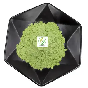 Wholesale Natural Moringa Oleifera Leaf Powder Moringa Powder