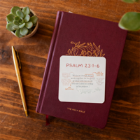 Cartes de verset bibliques imprimées personnalisées cartes d'affirmation de prière biblique cadeaux chrétiens avec versets bibliques mini carte d'inspiration