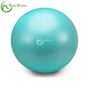 Exercise Ball And Pump Zhensheng Customized Yoga Exercise Swiss Ball Pump Exercise/Fitness Balls/Plastic Fitness Ball