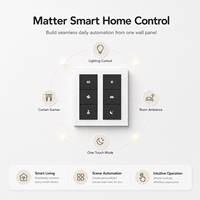 Prime Matter Interrupteur mural tactile en verre pour maison intelligente, panneau de commande intelligent avec contrôle de scène pour hôtels et villas