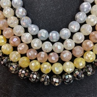 Coquillages marins naturels, perles rondes de 8 à 14 mm, perles en vrac, accessoires pour colliers DIY, vente en gros