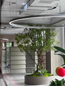 人造绿植、室内客厅装饰、落地式仿生花卉摆件、景观设计 - Product Image 4