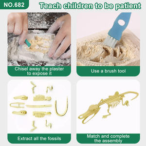 Jouets éducatifs Montessori pour enfants, collection de dinosaures fossiles en plastique personnalisés, <span class=keywords><strong>jeux</strong></span> de fouilles - Product Image 5