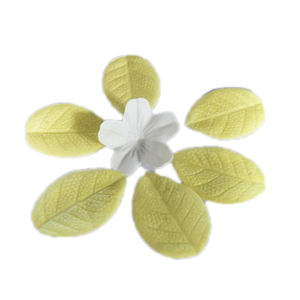 Dry Rose Soap Petals Floral <strong>Bath</strong> Soap <strong>Confetti</strong> Quick Dissolving for Home Salon Foot &amp; Body Spa <strong>Bath</strong> Treatments - Product Image 5