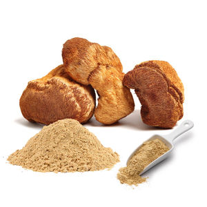 GANOHERB - Extracto Orgánico en Polvo de Melena de León, Polvo de Hongo Melena de León para Alimentos Funcionales, Bebidas, Cápsulas, Suplemento de Melena de León - Product Image 2