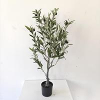 Nous et entrepôt local européen livraison gratuite et échantillon extérieur grande taille grande taille tronc en plastique fibre de verre olivier