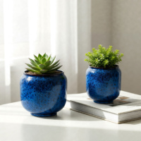 Pot de fleurs moderne en céramique de porcelaine de 8 pouces pour plantes d'intérieur et d'extérieur, avec trou de drainage et soucoupe, fabriqué en Chine, résistant aux intempéries