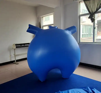 Combinaison gonflable en PVC personnalisée Beile à motif de bleuets, double couche, pour adultes, pour fêtes en plein air, jeux de jardin, modèle de jouet numérique imprimé pour adultes