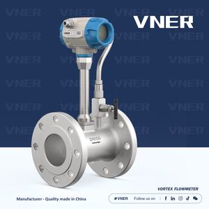 مقياس تدفق الغاز قابل للتخصيص من الفولاذ المقاوم للصدأ/316L دوامة ذات شفة من تصنيع المعدات الأصلية مقياس تدفق الغاز الدقيق مقياس تدفق DSP متكامل - Product Image 4