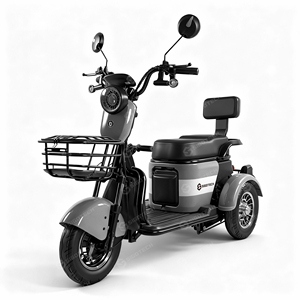 Triciclo Eléctrico Mini SIGOTECH OEM de Largo Alcance con Batería de 60V, Scooter Triciclo de Ocio para Personas con Discapacidad - Product Image 6