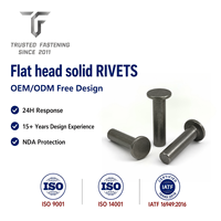 Rivets plats en cuivre TianFang pour plaques de garniture de frein, finition brillante, dimensions personnalisées et contrôle qualité ISO9001