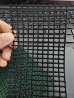Filets de polyester enduits de PVC tissu de maille bâches de vinyle bâche de maille pour trampoline de catamaran