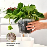 Ventes en gros de pots suspendus en plastique, pots à plantes auto-arrosants, pots à fleurs blancs, décoration de salon, pot à bonsaï moderne pour l'intérieur