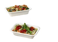 SUMKOKA Plateaux rectangulaires profonds robustes, durables, écologiques, biodégradables, en bagasse de canne à sucre, avec couvercle