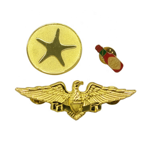 Scudo marchio epossidico <span class=keywords><strong>stella</strong></span> volare ali aereo <span class=keywords><strong>aquila</strong></span> placcato oro Pin - Product Image 2