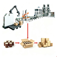 Robot empileur de palettes automatique, machine d'emballage de cartons et de boîtes, machine d'emballage de bouteilles pulvérisatrices, machine d'emballage enroulante à la fin de ligne