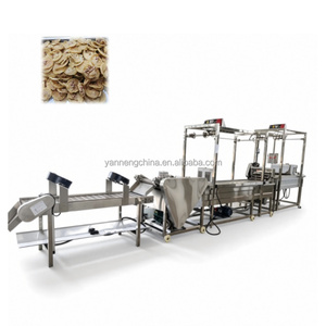 Meilleur prix pour la machine à fabriquer des rempeyek de cacahuètes, ligne de production de rempeyek frits en Malaisie, prix de la machine à fabriquer des snacks javanais Toba sur S - Product Image 1